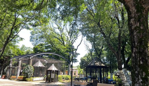 🚙麻溝公園へ🚙